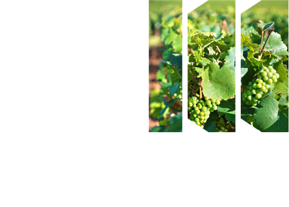Región de Murcia Film Commision