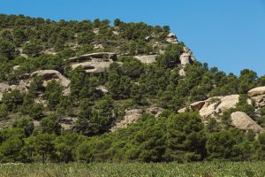 Monte Arabí, Yecla