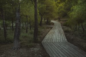 Pasarelas Yecla Valora